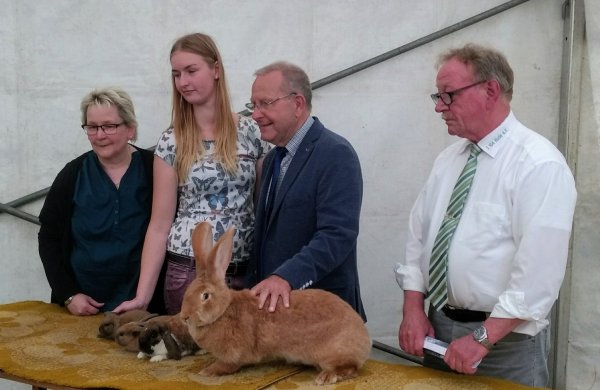 image jungtierschau2017-18-jpg