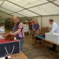 Jungtierschau 2018